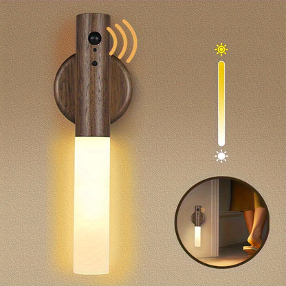 Modern LED Wall  torch